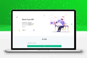 M1328 一款强大的api管理系统Storm Core API_V1.1免授权源码分享